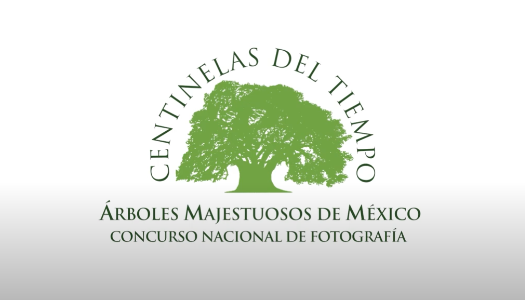 vista_previa_video_centinelas